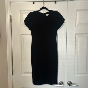 Calvin Klein Tulip Sleeve Dress Size 4